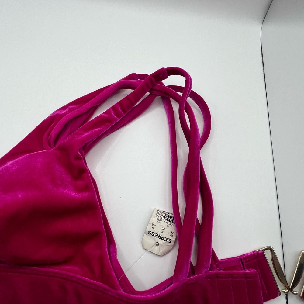 Express Women's Pink Velvet Swim Top